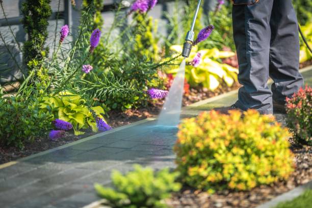 Trusted Ramona, CA Pressure Washing Services Experts