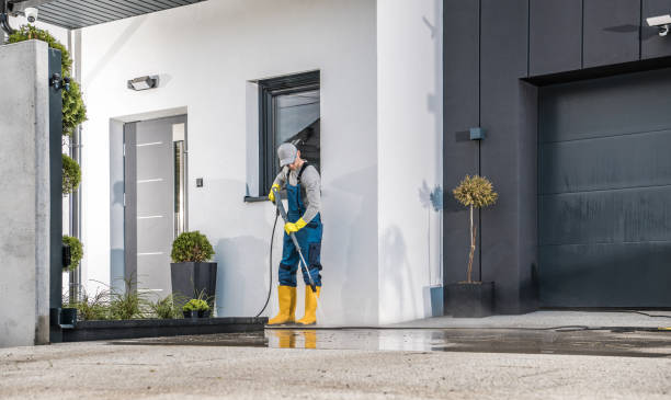 Best Paint Preparation  in Ramona, CA